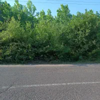 زمین-تجاری-مسکونی-2-000-متر-با-پروانه-ساختمان