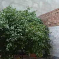 ویلای-دربست-کامل