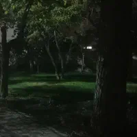 فروش زمین باغ در باغ نو  (نزدیک ترین نقطه شهری)