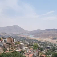 ۹۵۰ متر زمین سند ۶دانگ بدون ریشه