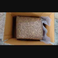 مغز پسته / فندوقی / احمد آقایی