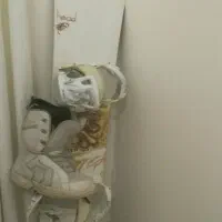 اسنوبورد هد به همراه بوت