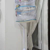 قفس پرنده