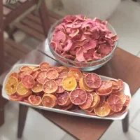 خشک کن سبزیجات صیفی جات میوجات