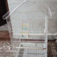قفس|لوازم جانبی حیوانات|تاکستان, |دیوار