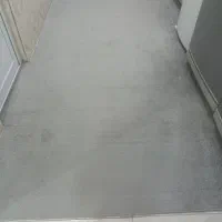 موکت پالاز