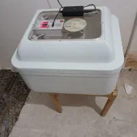دستکاه جوجه کشی اسگندری