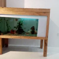 اکواریوم۱۰۰×۵۰×۴۰