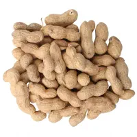 بادام زمینی غلاف دار