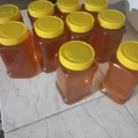 عسل طبیعی بدون هیچ شکری خالص عسل گونده