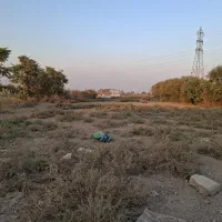 یک قطعه زمین در گل تپه کبیر