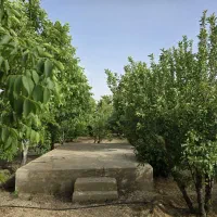 فروش-باغ-مجتمع-گلدشت-سیاخ-دارنگون