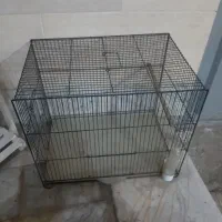 قفس پرنده