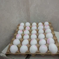 تخم مرغ شانه ای