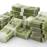 نیازمند سرمایه گذار