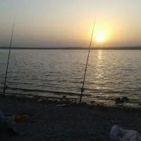 اجاره و فروش لنسر ماهیگیری