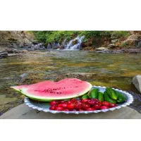 تور یک روزه هفت چشمه چالوس جمعه 13شهریور