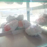 مرغ کشتار روز...دولتی