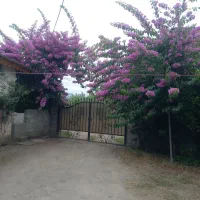 ویلای دوخوابه ساحل گیسوم ( دربست )