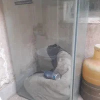 ماهی شیشه