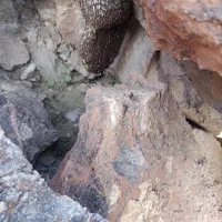 درخدمت شما هستم تمام سیستان بلوچستان