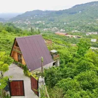 کلبه جنگلی تراسدار با جکوزی ویو جنگل رامسر
