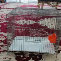 قفس خرگوش