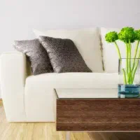 بازاریاب و دستیار خانم