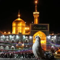 تور مشهد مقدس۴۶۵۰