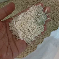 فروش برنج