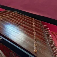 سنتور-کم کارکرد-گردو