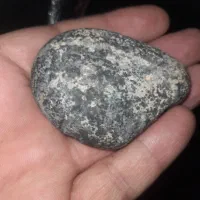 فسیل چندین میلیون ساله