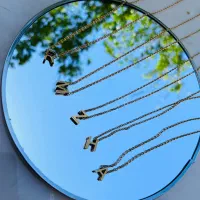 انواع بدلیجات و اکسسوری