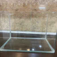 آکواریوم شیشه منحنی