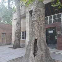 آبشار بیشه درود با قطار
