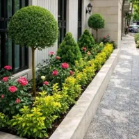 خدمات باغبانی باغچه کاری کاشت گل وگیا به تمام نقاط