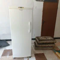 یخچال وپشتی وگلیم