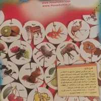 بازی فکری