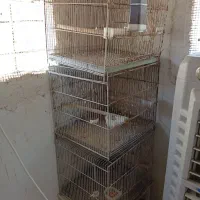 قفس چهارخان