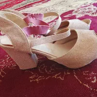 کفش مجلسی