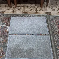 پادری  پالاز موکت