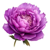ساخت استیکر اختصاصی برای برند شما