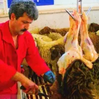 گوسفند تخفیف محرمی  یافت اباد.شهرری.چهاراه استقلال