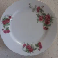 برنج خوری دستی ۵۰۰