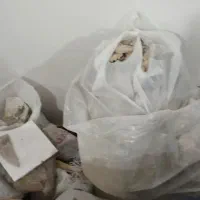 نوخاله