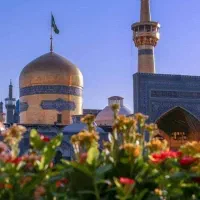 مهمان حرم رضوی