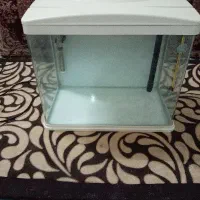 اکواریوم ماهی