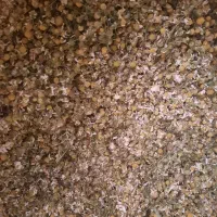 گل بابونه
