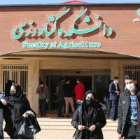 طراحی سمینار .مقاله پایان نامه .پروپوزال ترجمه