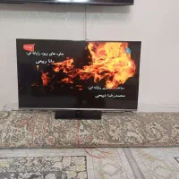 تلویزیون